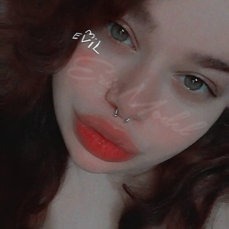 𝘚𝘶𝘤𝘤𝘶𝘣𝘶𝘴 𝘉𝘰𝘳𝘪𝘤𝘶𝘢