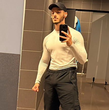 Stallion Fabio