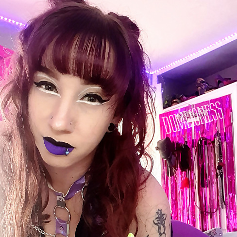 Dom Lioness
