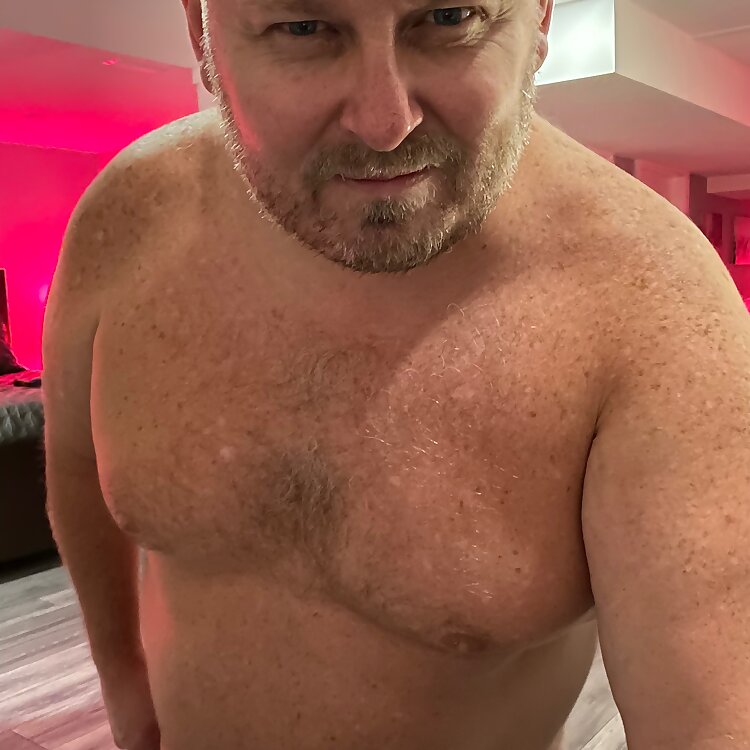 Daddy Bear