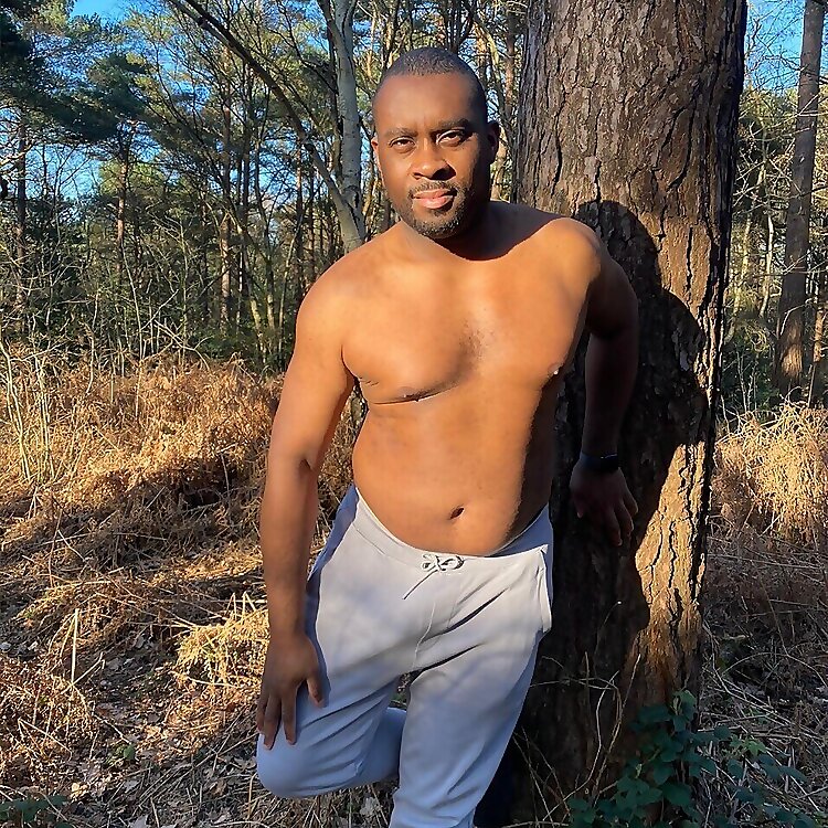 Nightkingdick